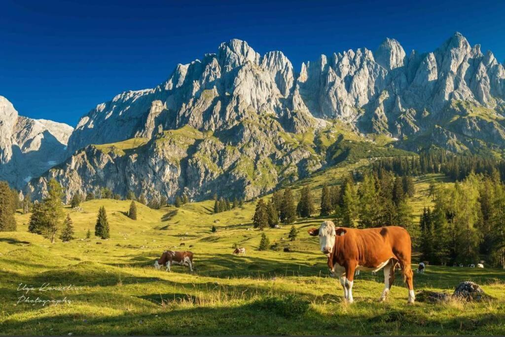 Апартаменти Hochkoenig Ferien Мюльбах-ам-Гохкеніг Екстер'єр фото