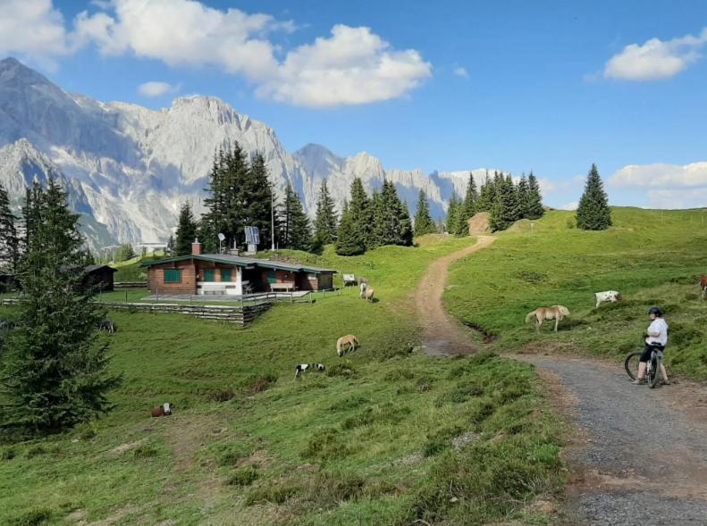 Апартаменти Hochkoenig Ferien Мюльбах-ам-Гохкеніг Екстер'єр фото